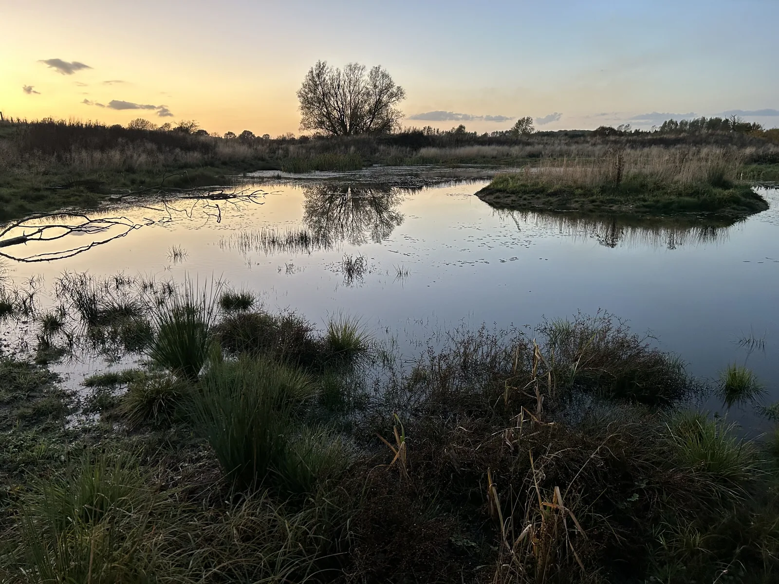 Sunset pond