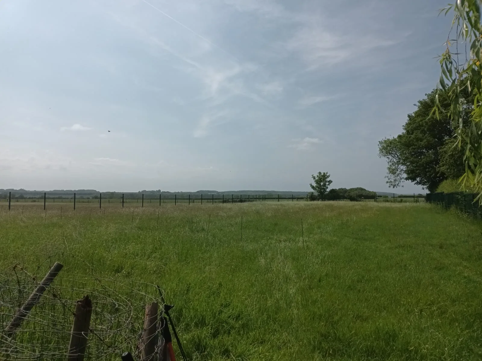 Jack's Meadow 3